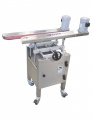 Conveyor | Preferred Pack Model # PP-36BTC-1 - Bottomless Transfer Conveyor