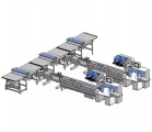 Integrated Packaging Line - Packaging Line - Smart Belts Auto Feeding and Smart Distribution Station